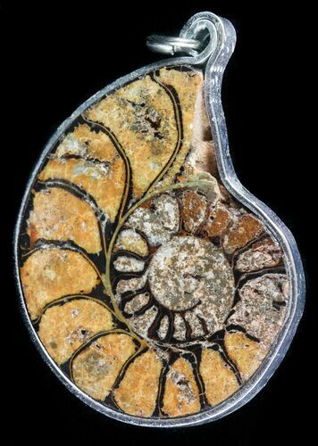 Moroccan Ammonite Fossil Pendant #58360